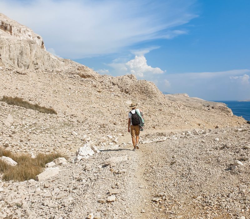 Rear view of young man walking on path on rocky coastline.